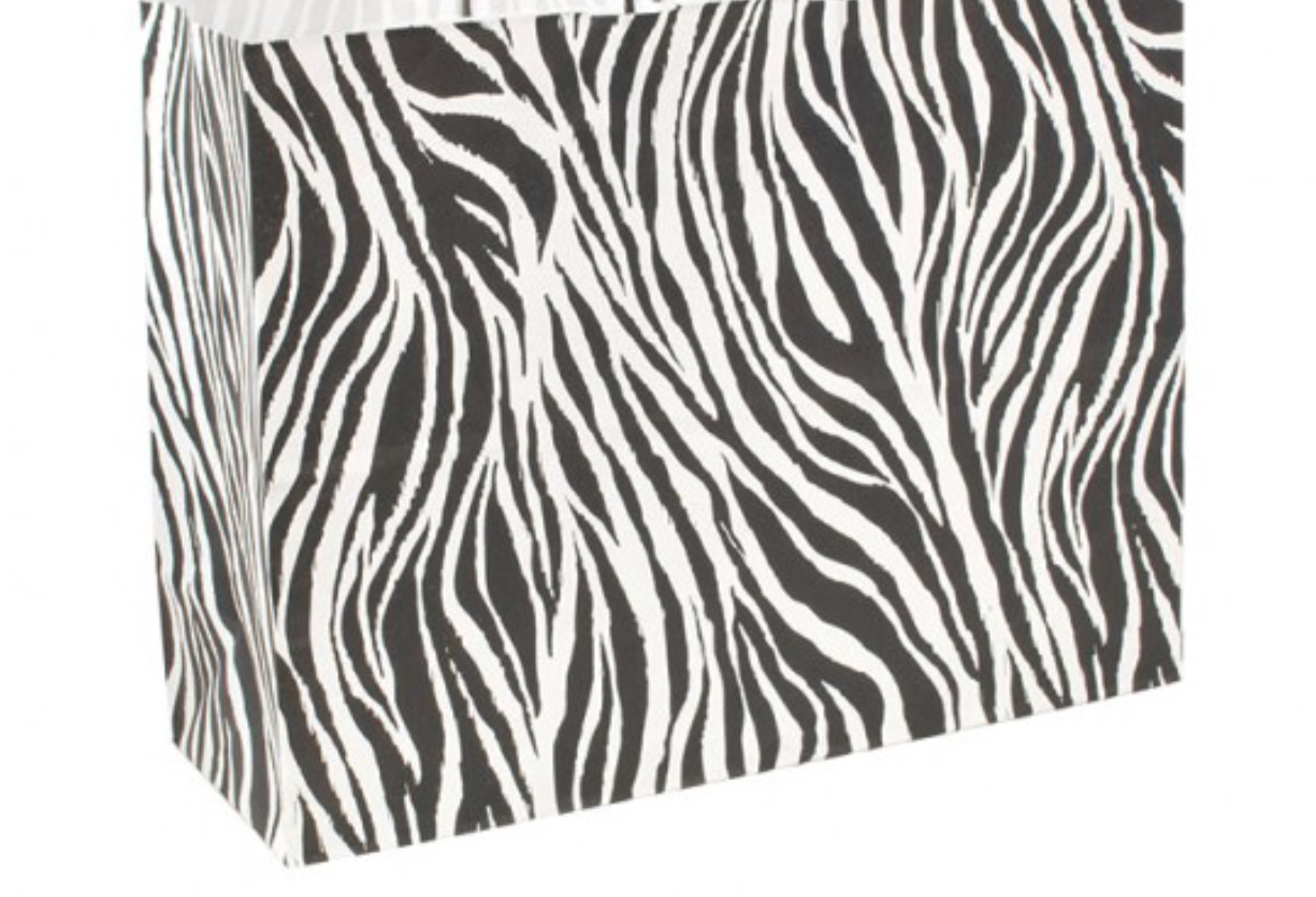 Non Woven Shopping Bag