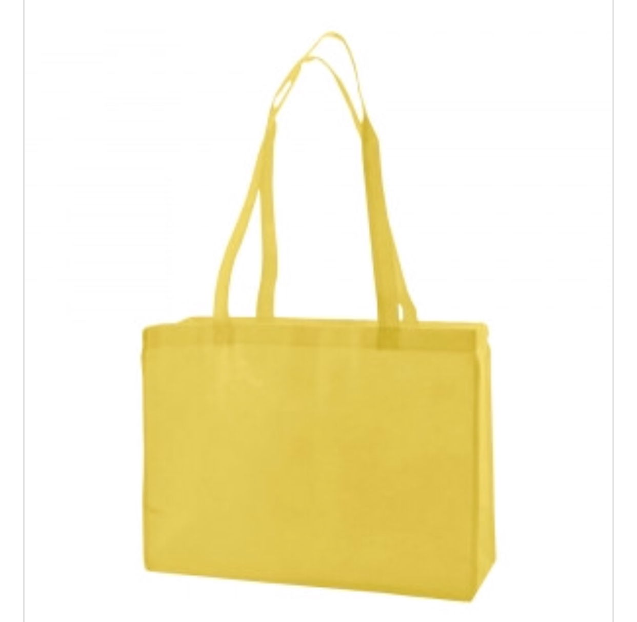 Non Woven Shopping Bag