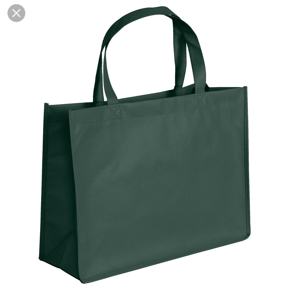 Non Woven Shopping Bag