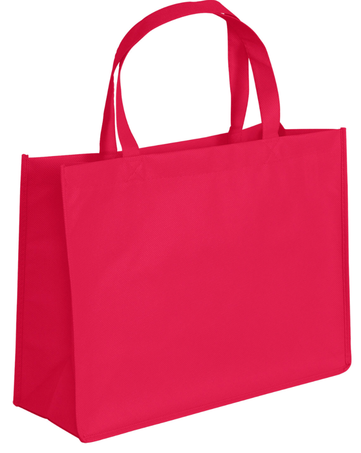Non Woven Shopping Bag